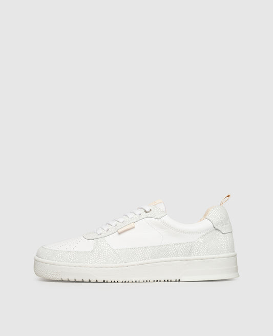 Bball M AA - White